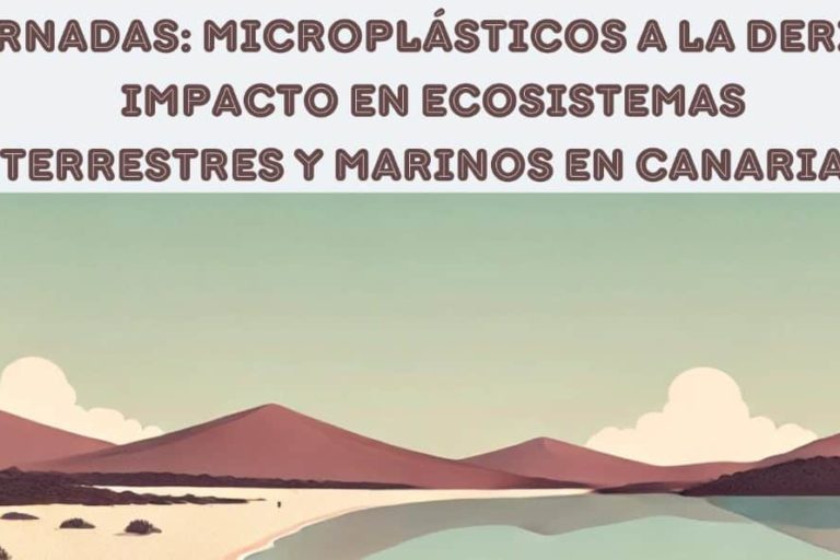 250312 Microplásticos