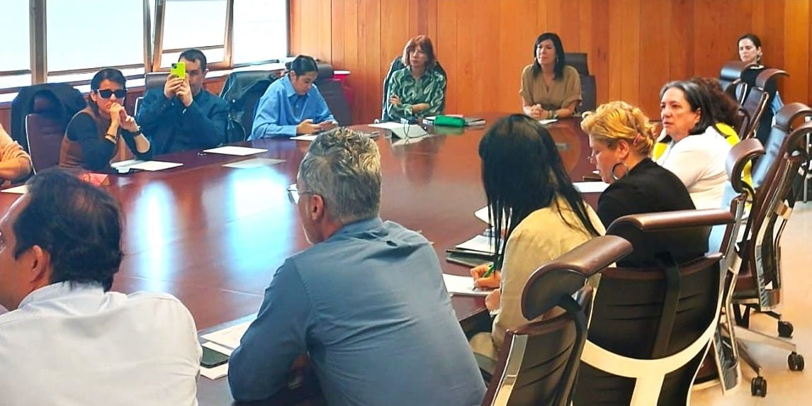 250320 Mesa de Accesibilidad marzo 2025 (1)