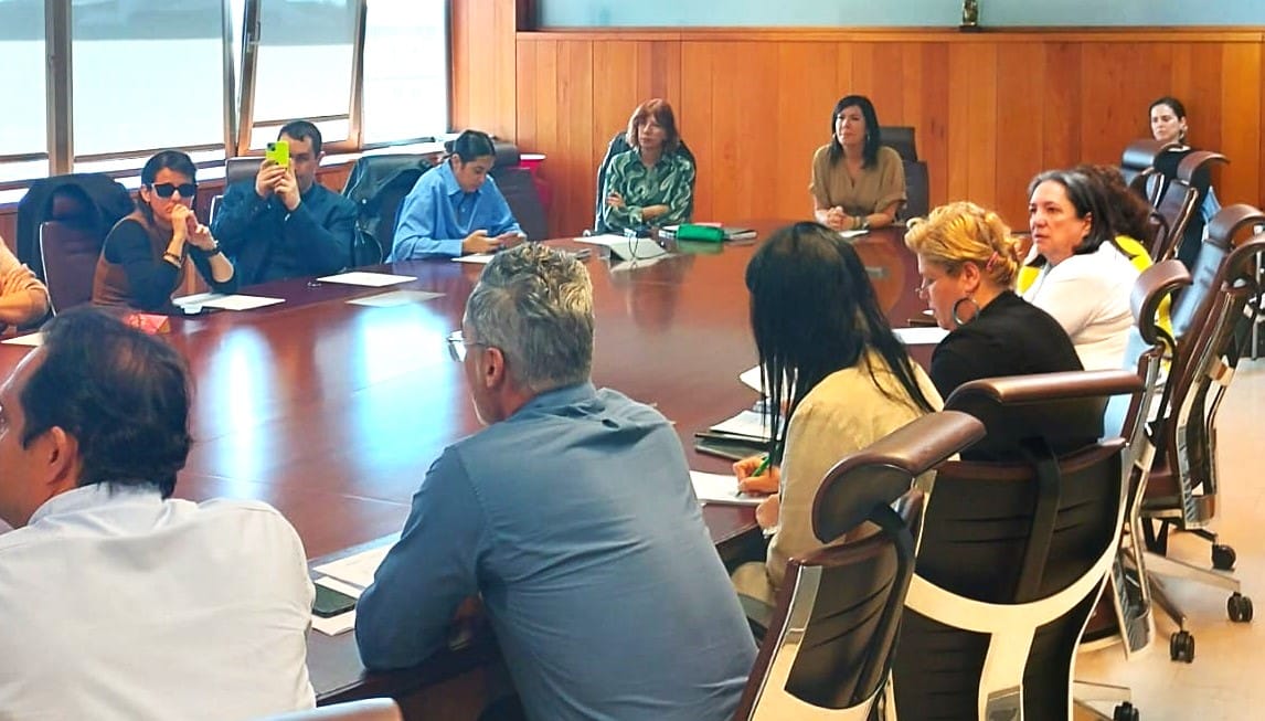 250320 Mesa de Accesibilidad marzo 2025 (1)