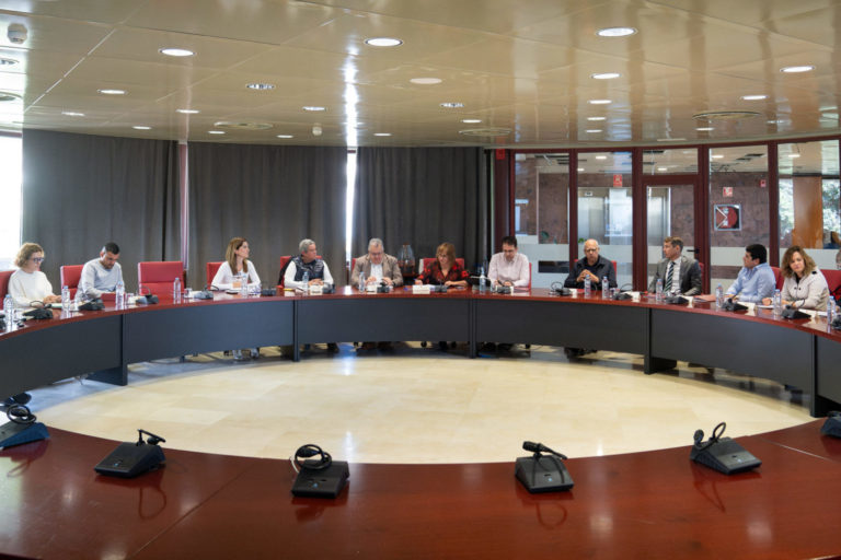 280325 Reunión entre Cabildo de La Gomera, VISOCAN y ayuntamientos de la isla
