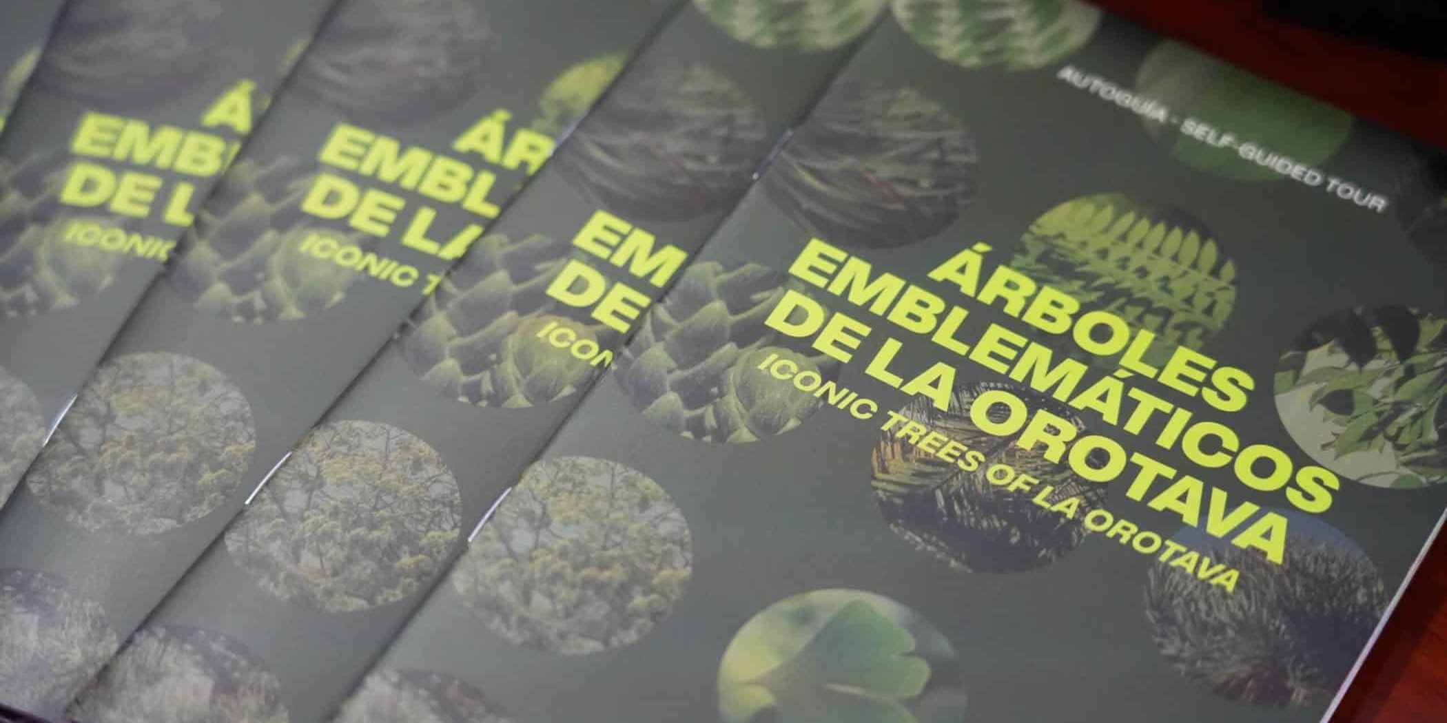 ÁRBOL8 20-3-25