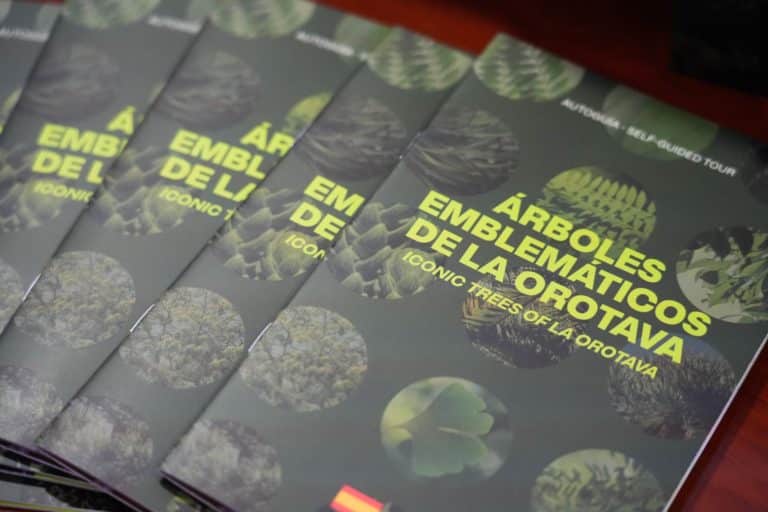 ÁRBOL8 20-3-25