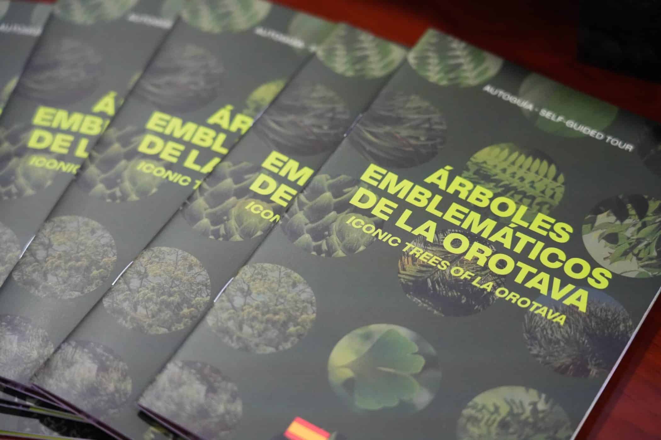 ÁRBOL8 20-3-25