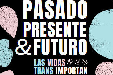 Cartel Día de la Visibilidad Trans