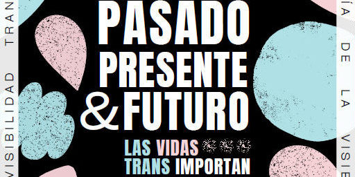 Cartel Día de la Visibilidad Trans