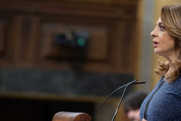 Cristina Valido pleno 260325