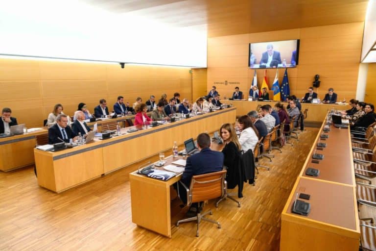 EL CABILDO INSTA AL GOBIERNO A MEJORAR LA SANIDAD 28-2-25