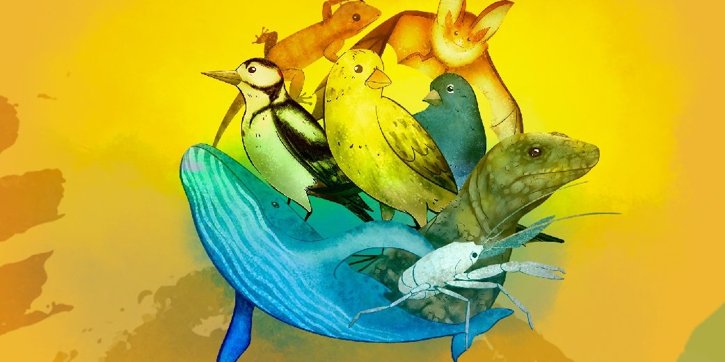 El carnaval de los animales canarios