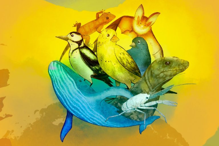 El carnaval de los animales canarios