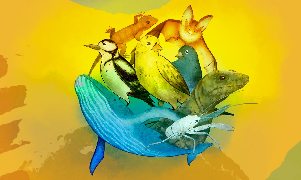 El carnaval de los animales canarios