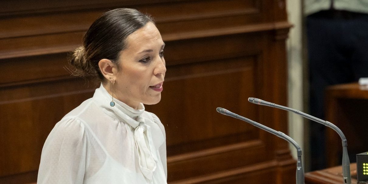 Ley VV Parlamento 140325