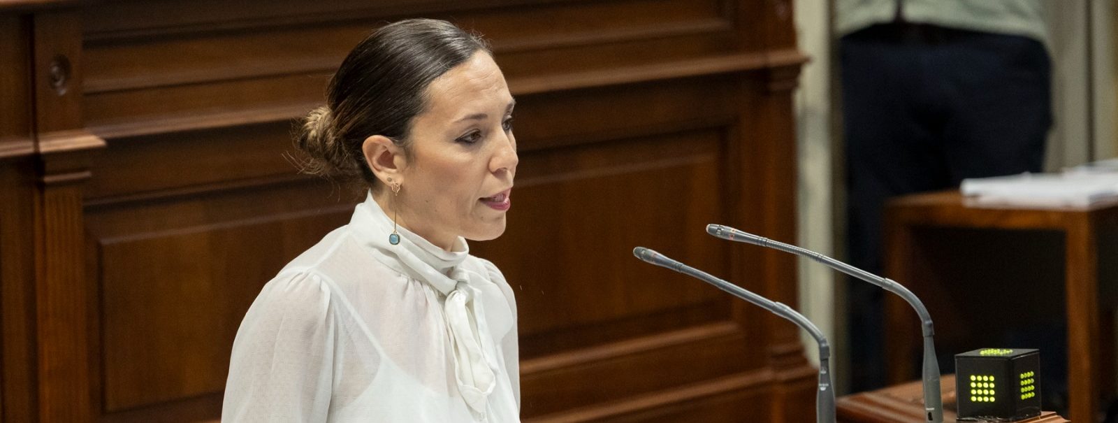 Ley VV Parlamento 140325