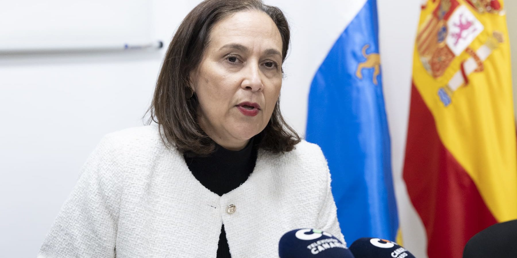 María Teresa Ortega 130325