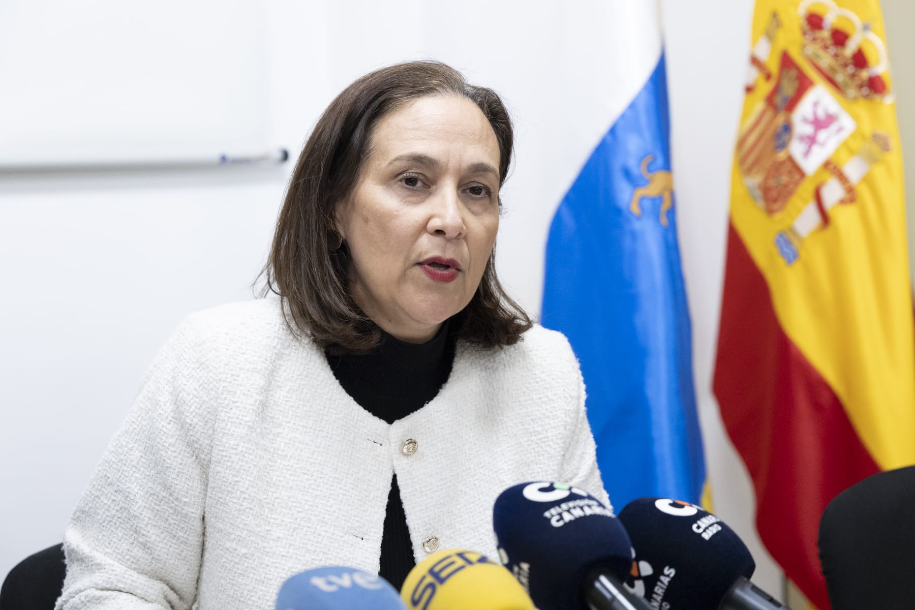 María Teresa Ortega 130325