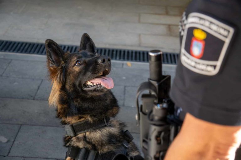 Unidad Canina