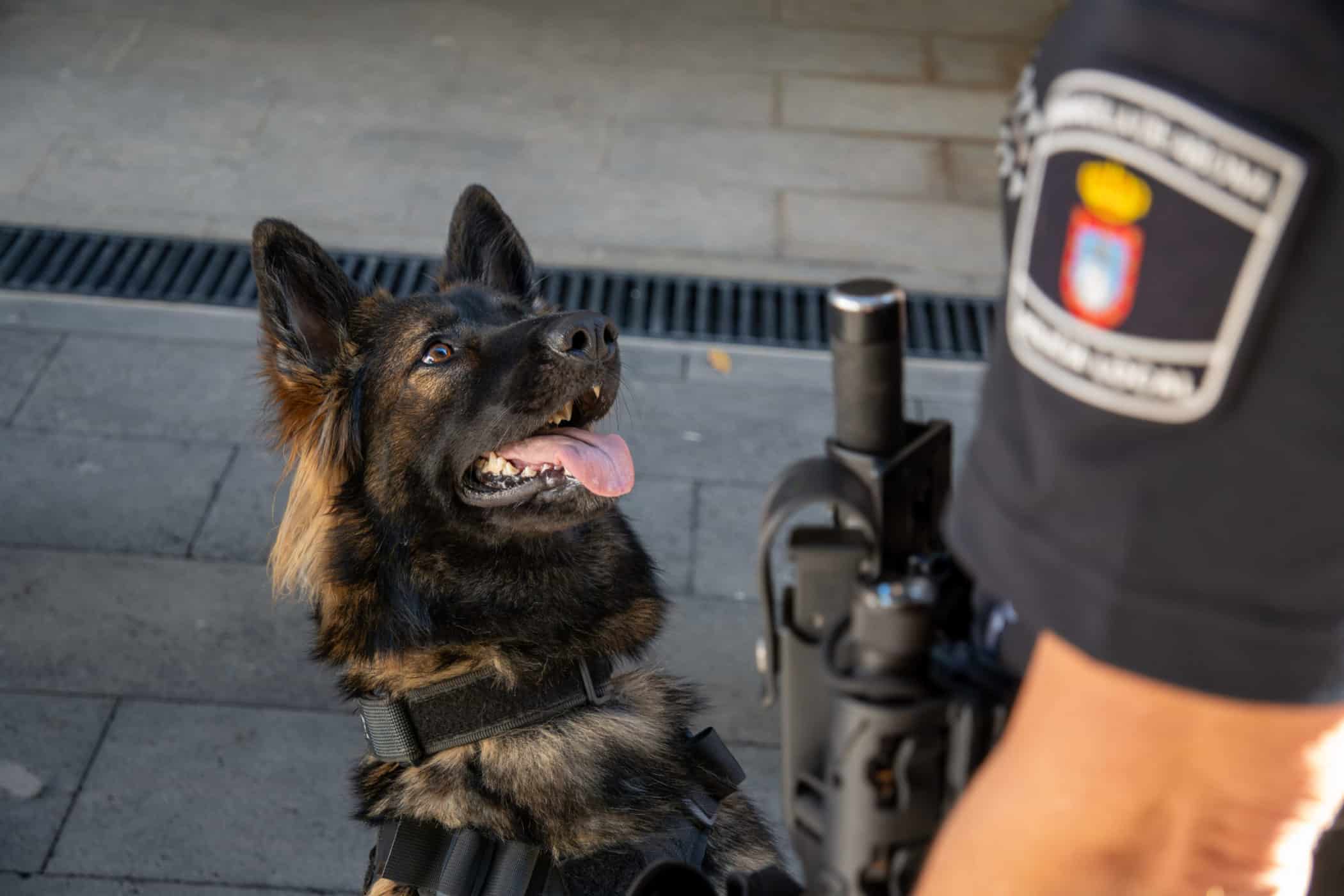 Unidad Canina