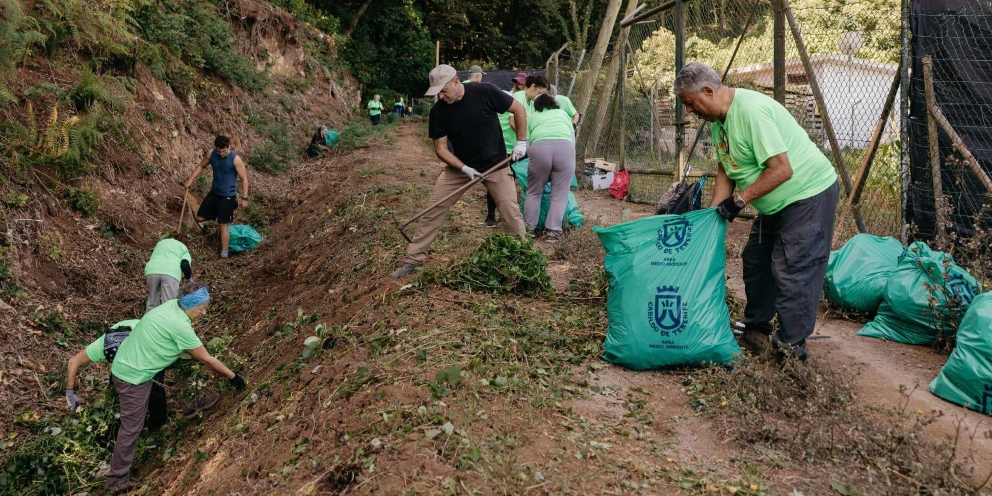 Voluntariado Ambiental 00