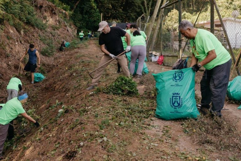 Voluntariado Ambiental 00