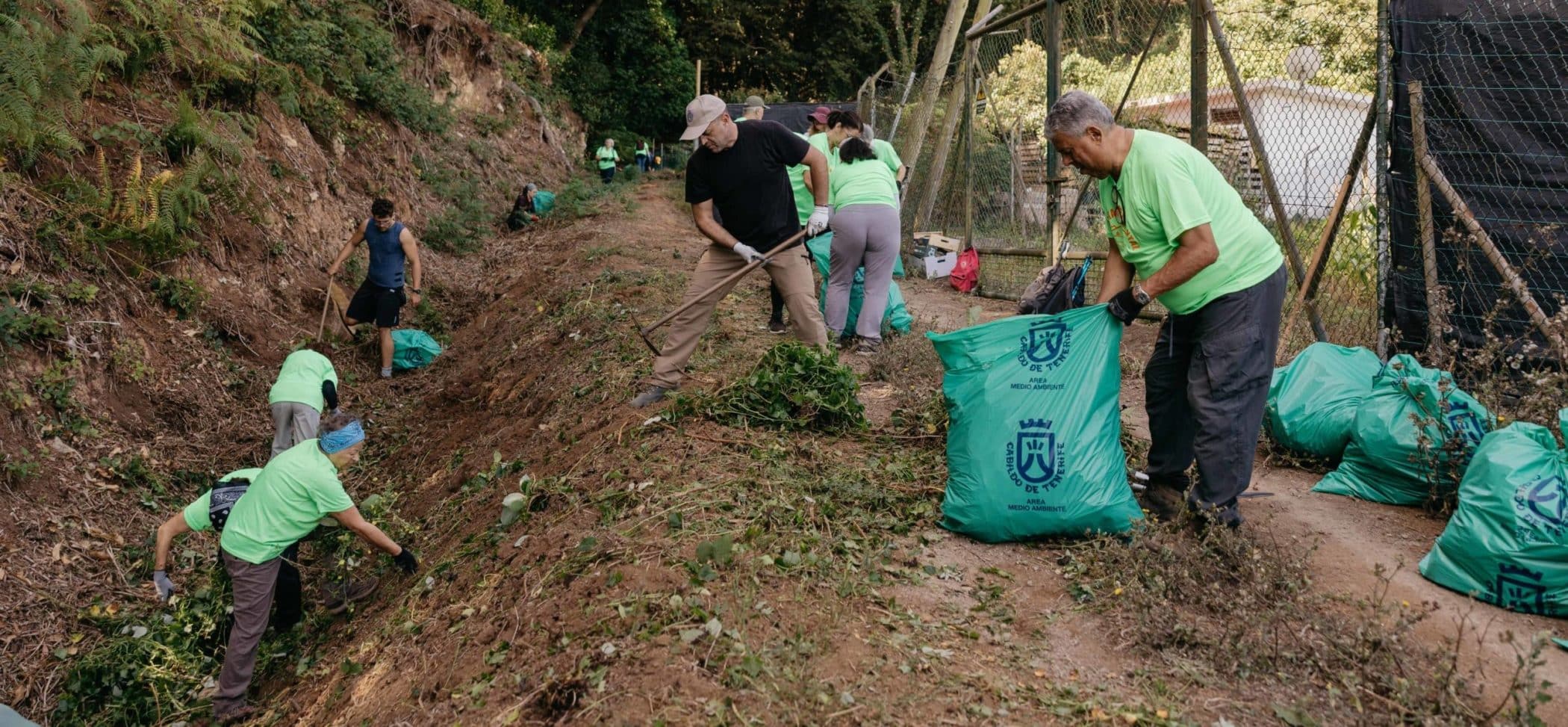 Voluntariado Ambiental 00