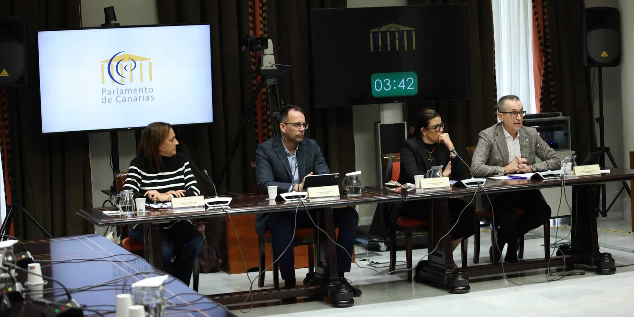 010425 El vicepresidente primero del Cabildo de La Gomera, Adasat Reyes, en la Comisión de Cabildos del Parlamento de Canarias