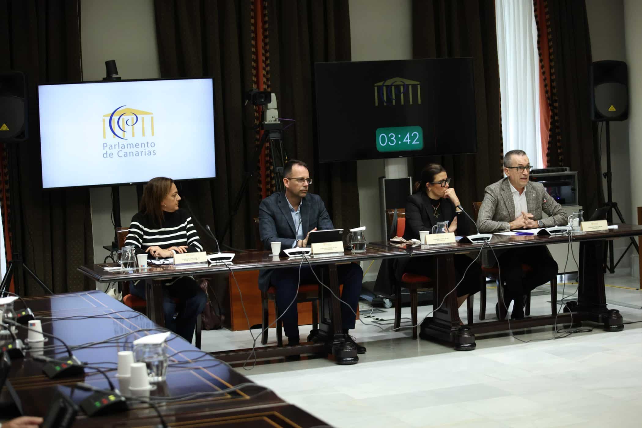 010425 El vicepresidente primero del Cabildo de La Gomera, Adasat Reyes, en la Comisión de Cabildos del Parlamento de Canarias
