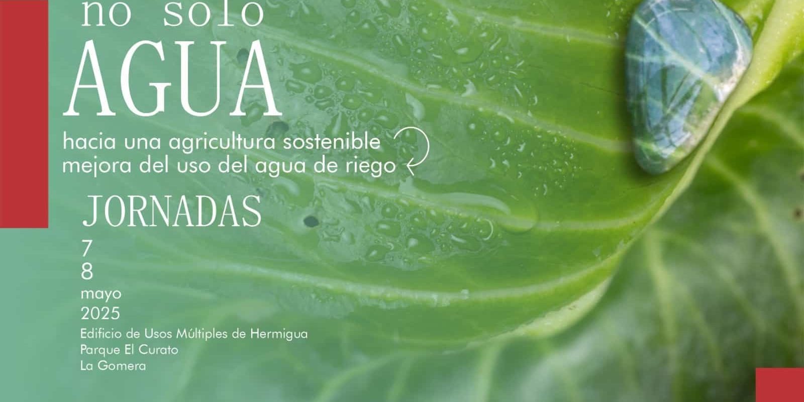 140425 FACEBOOK Cartel Jornadas No solo Agua en La Gomera