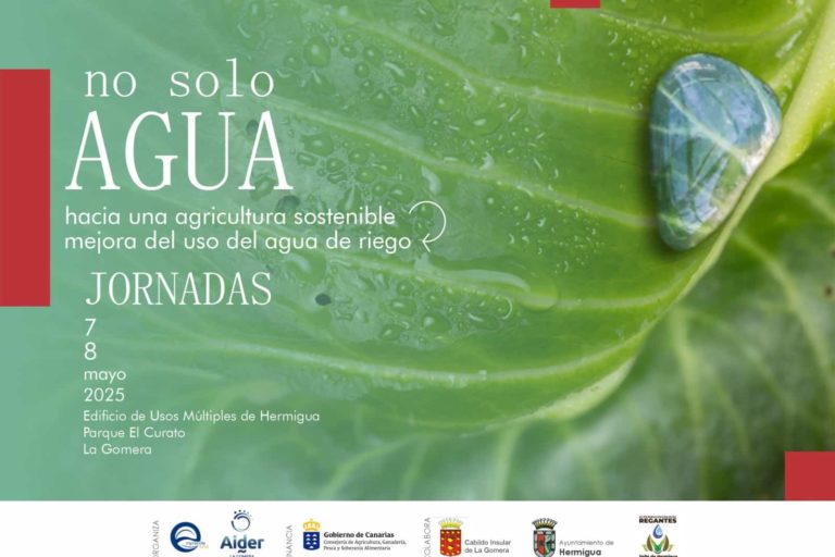 140425 FACEBOOK Cartel Jornadas No solo Agua en La Gomera