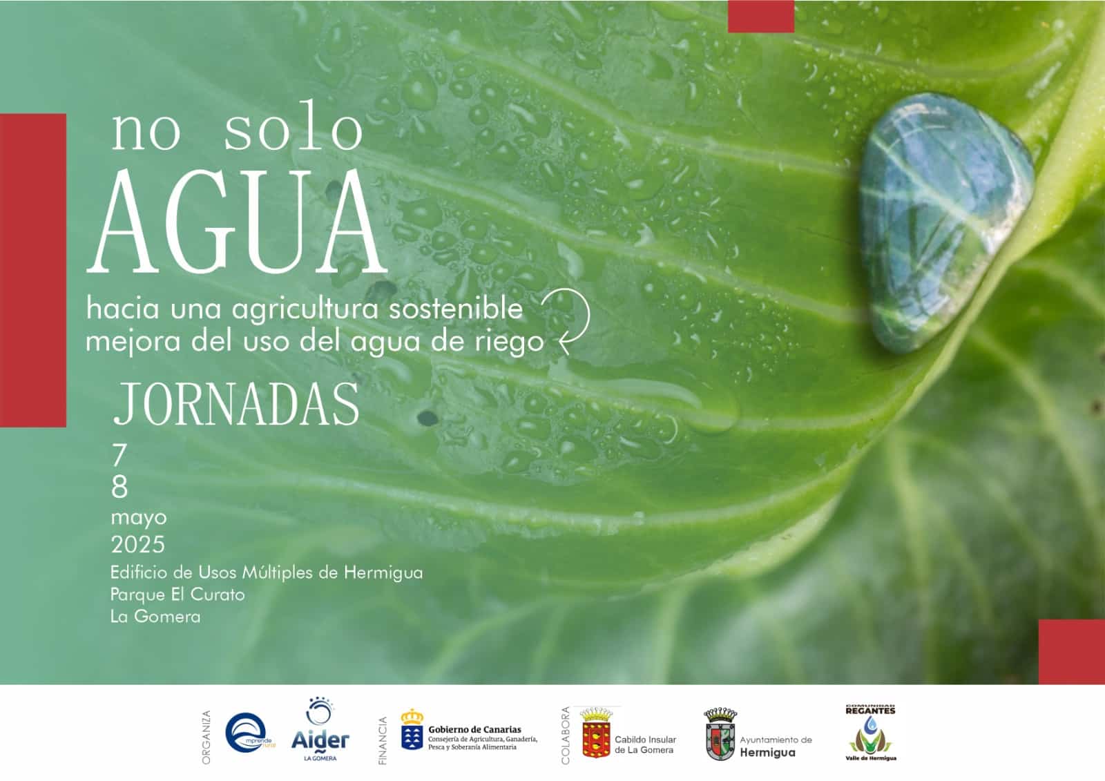 140425 FACEBOOK Cartel Jornadas No solo Agua en La Gomera