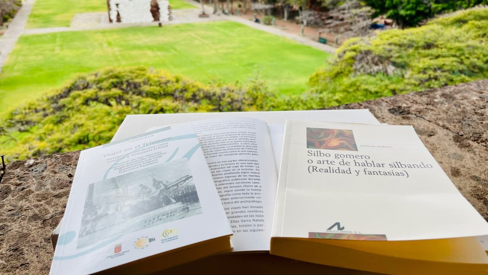 210425 Imagen de recurso. Día del Libro La Gomera