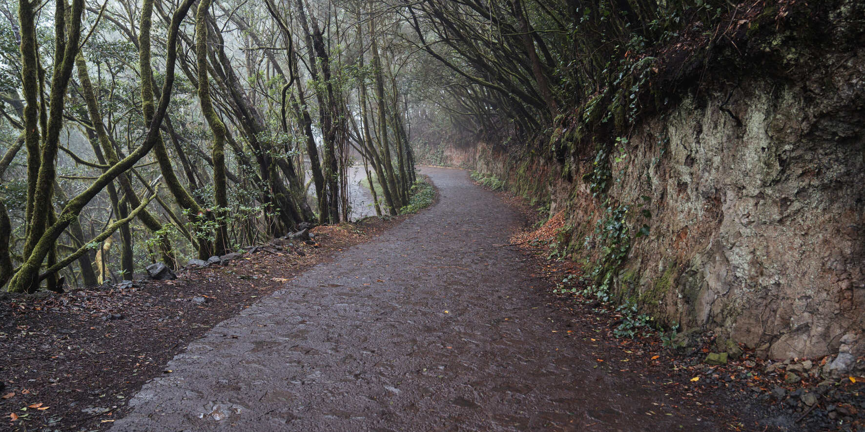 Acceso a Las Mimbreras – El Cedro
