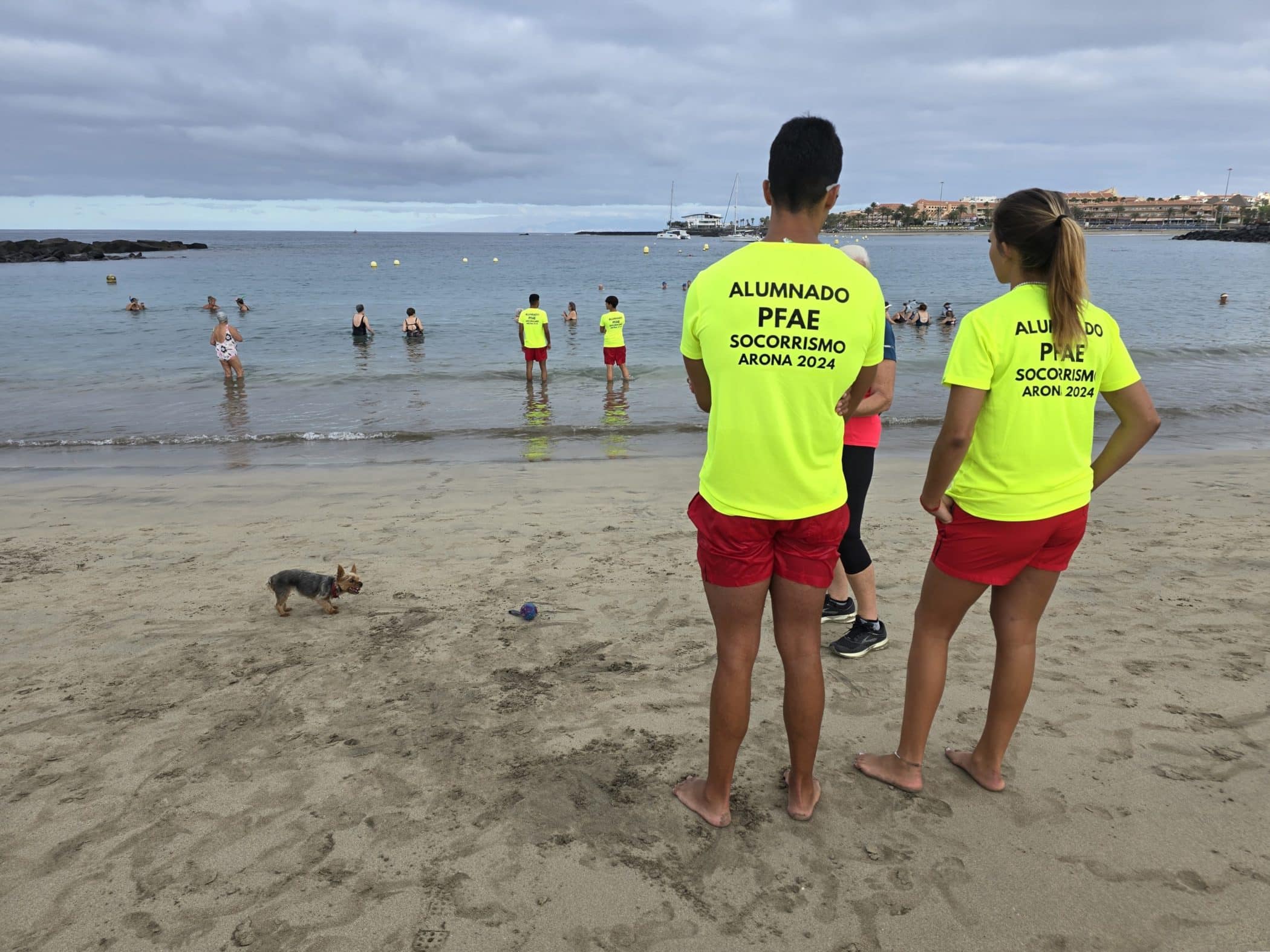 Arona.PFAE 2024