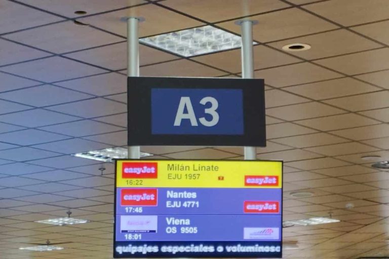 Llegada del vuelo Milán-Tenerife Sur 2