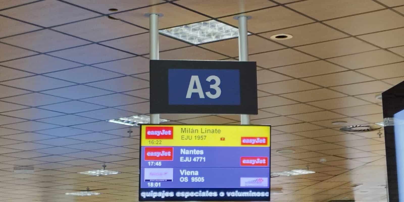 Llegada del vuelo Milán-Tenerife Sur 2