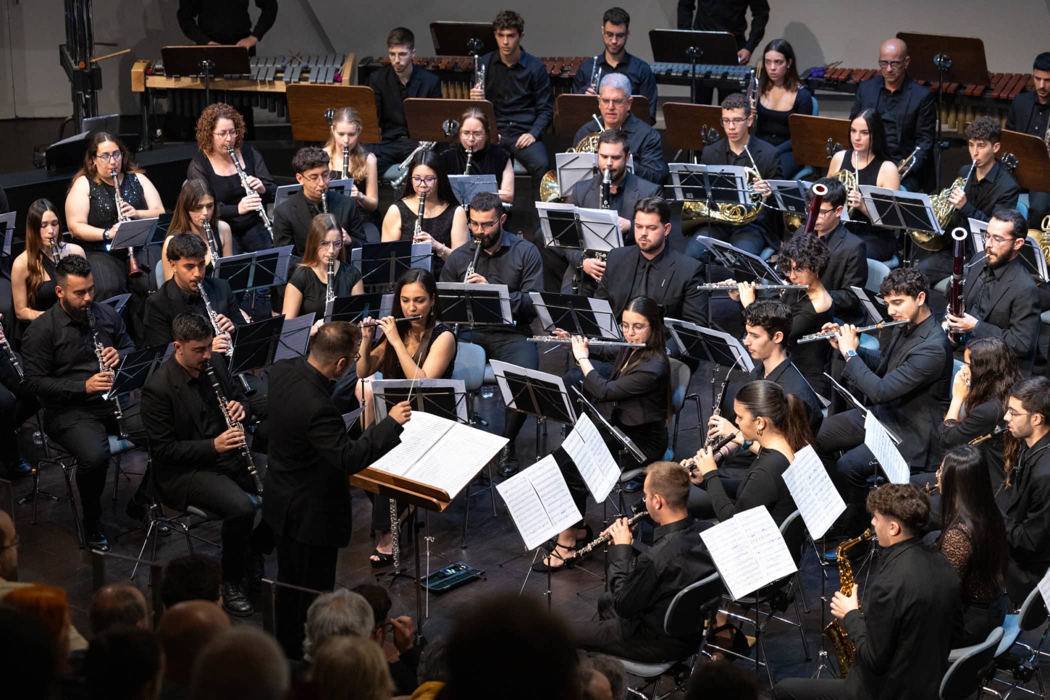 Primavera Musical 01
