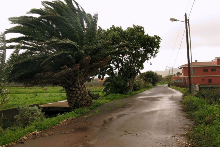 RACHAS DE VIENTO DE 100 KILÓMETROS A LA HORA 2-4-25