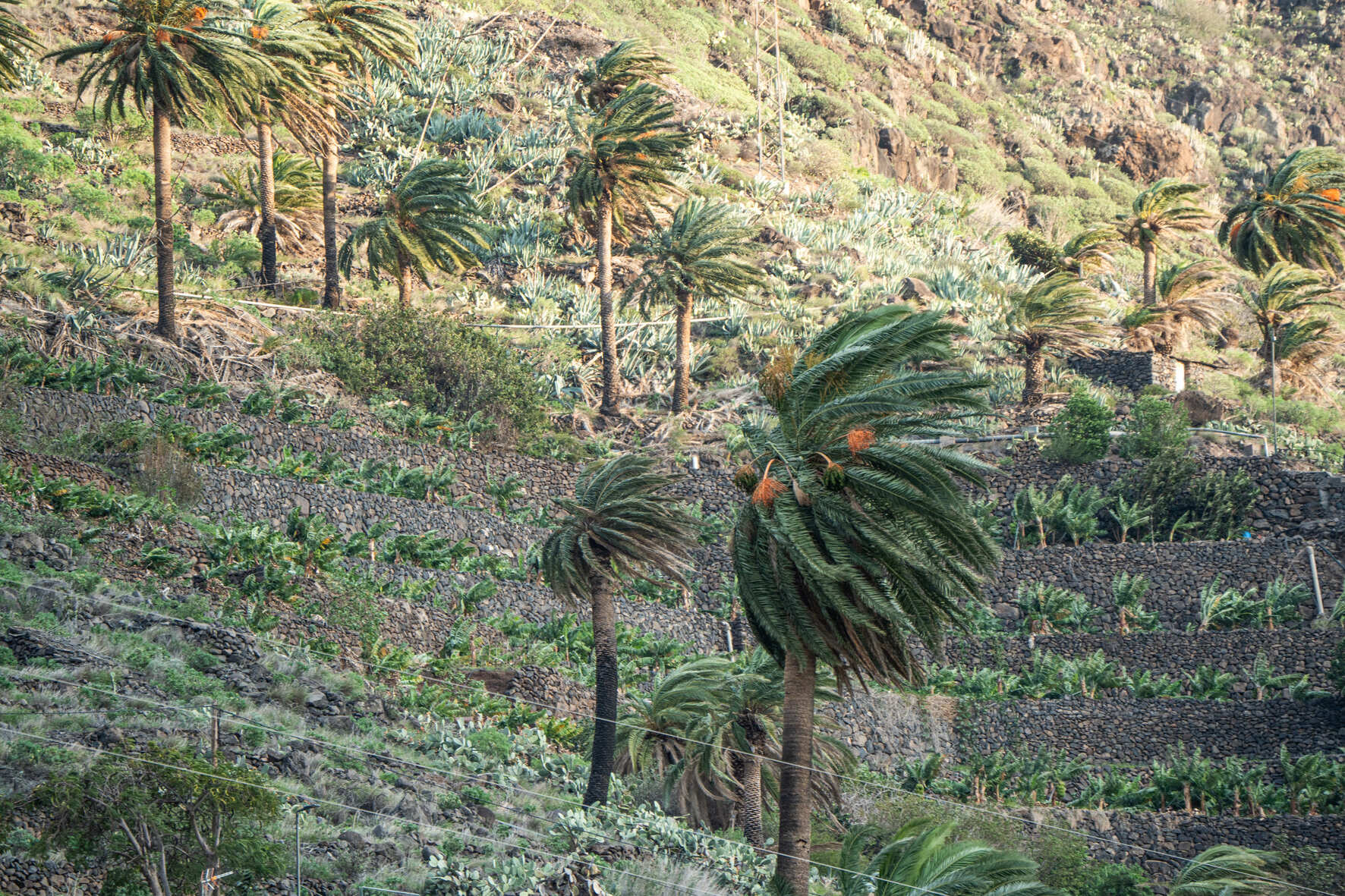 Viento en La Gomera