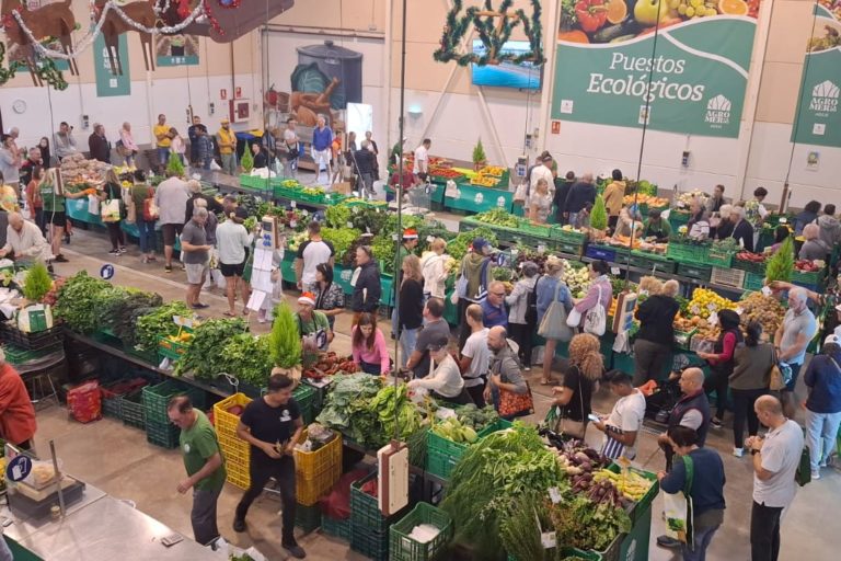 agromercado de adeje 1