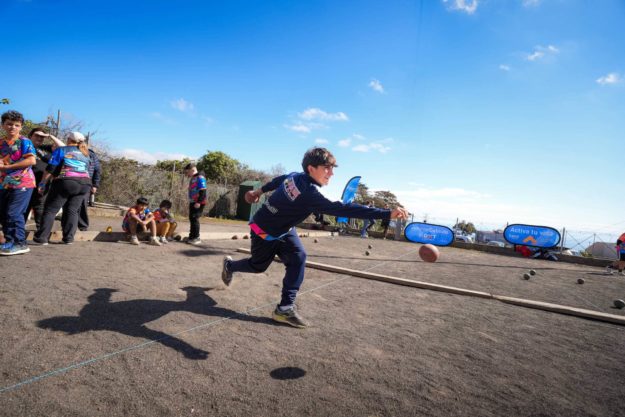 bola canaria