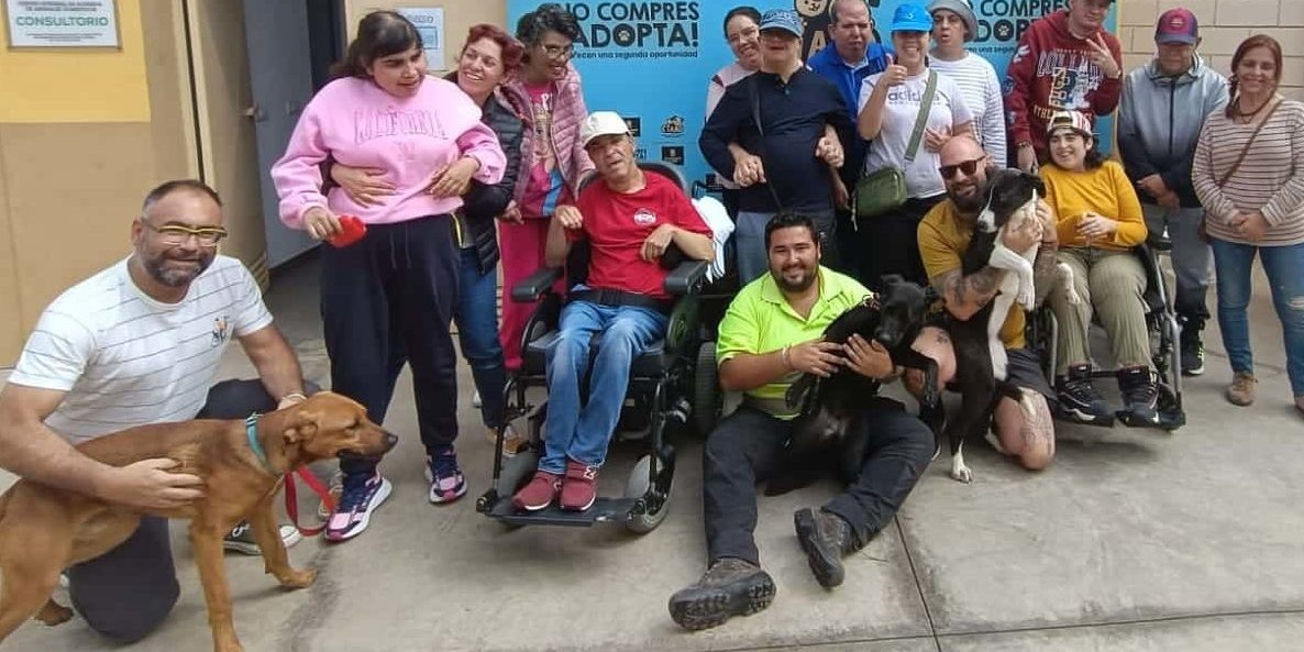 visita CAD Los Olivos a Ciaad-1