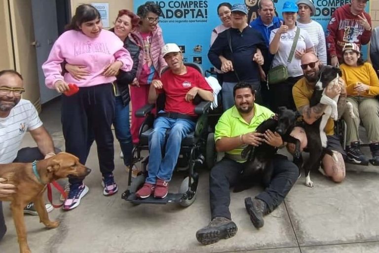 visita CAD Los Olivos a Ciaad-1