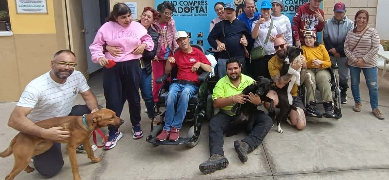 visita CAD Los Olivos a Ciaad-1