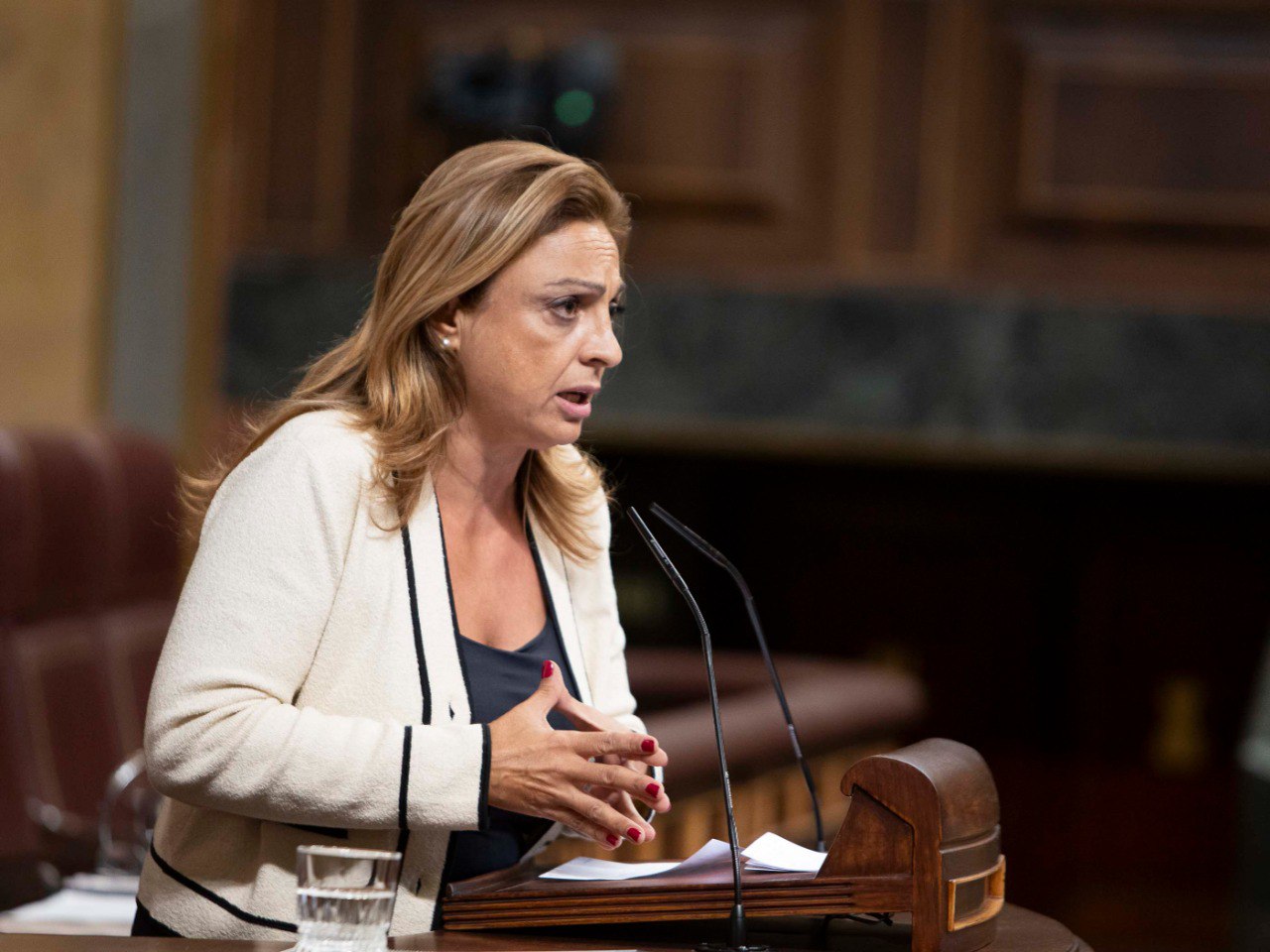 Cristina Valido pleno 9 oct 2024