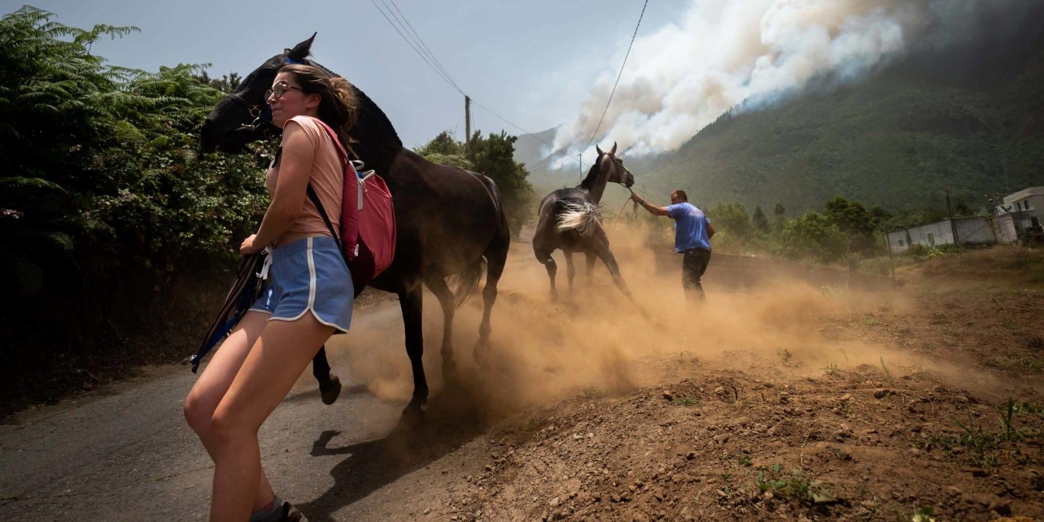 Incendio en Los Realejos, de Fran Pallero