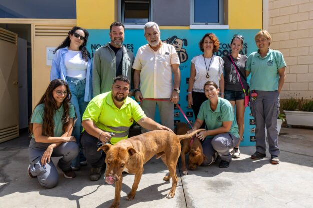 40 – ALCALDE – CIAA