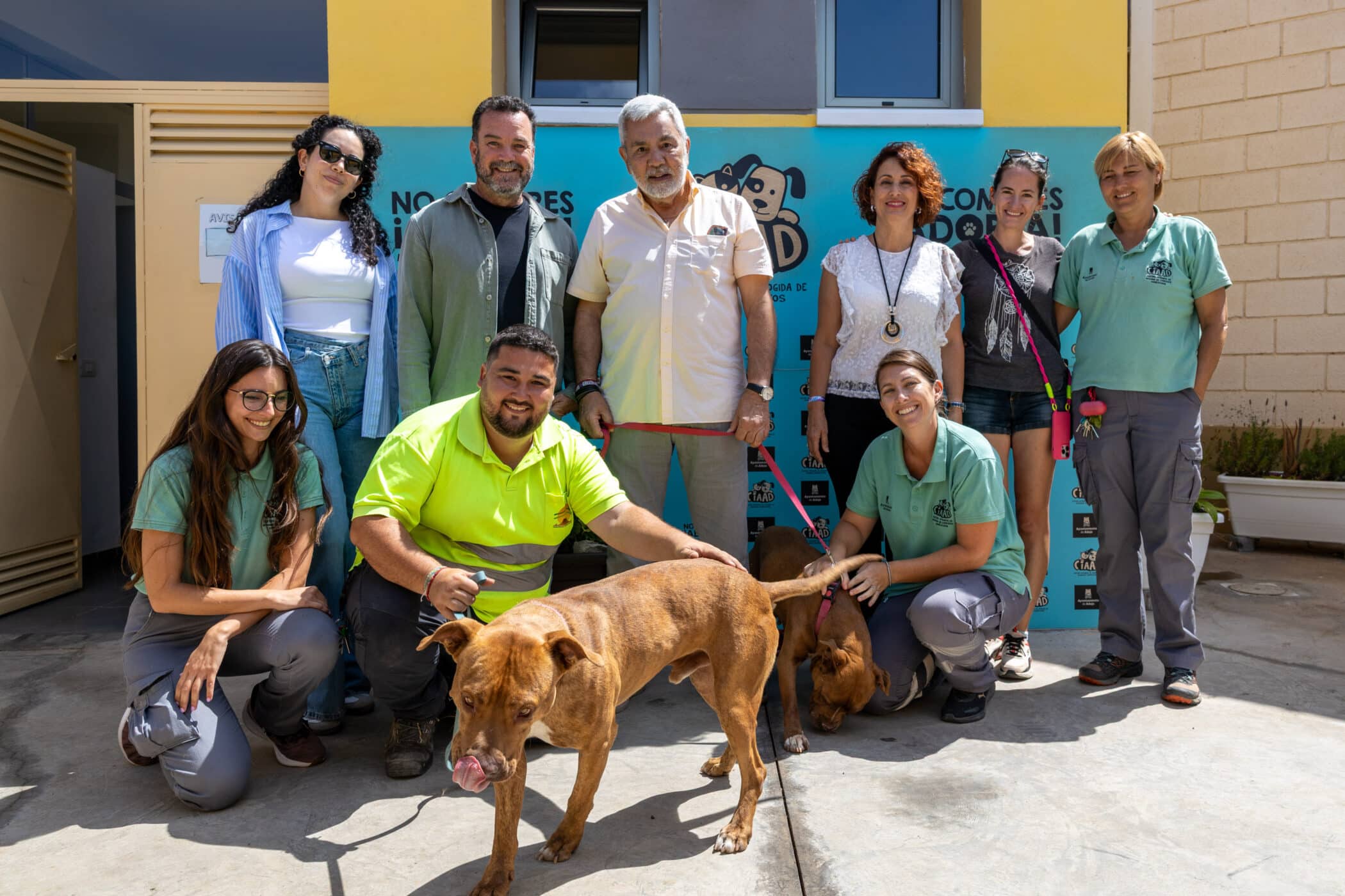 40 – ALCALDE – CIAA