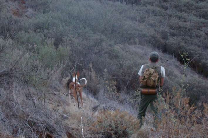 010725-caza-en-la-isla-de-la-gomera