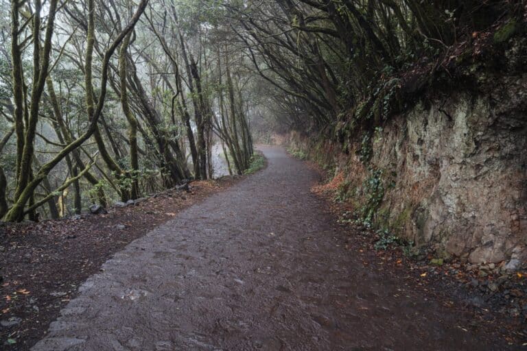 150725-via-de-acceso-a-el-cedro-las-mimbreras-en-la-gomera