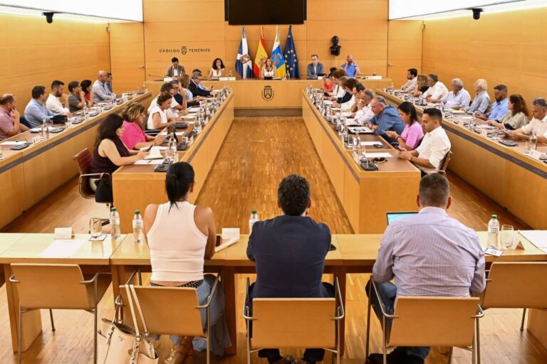 20250721_Consejo_Insular_Admin_Territorial-16