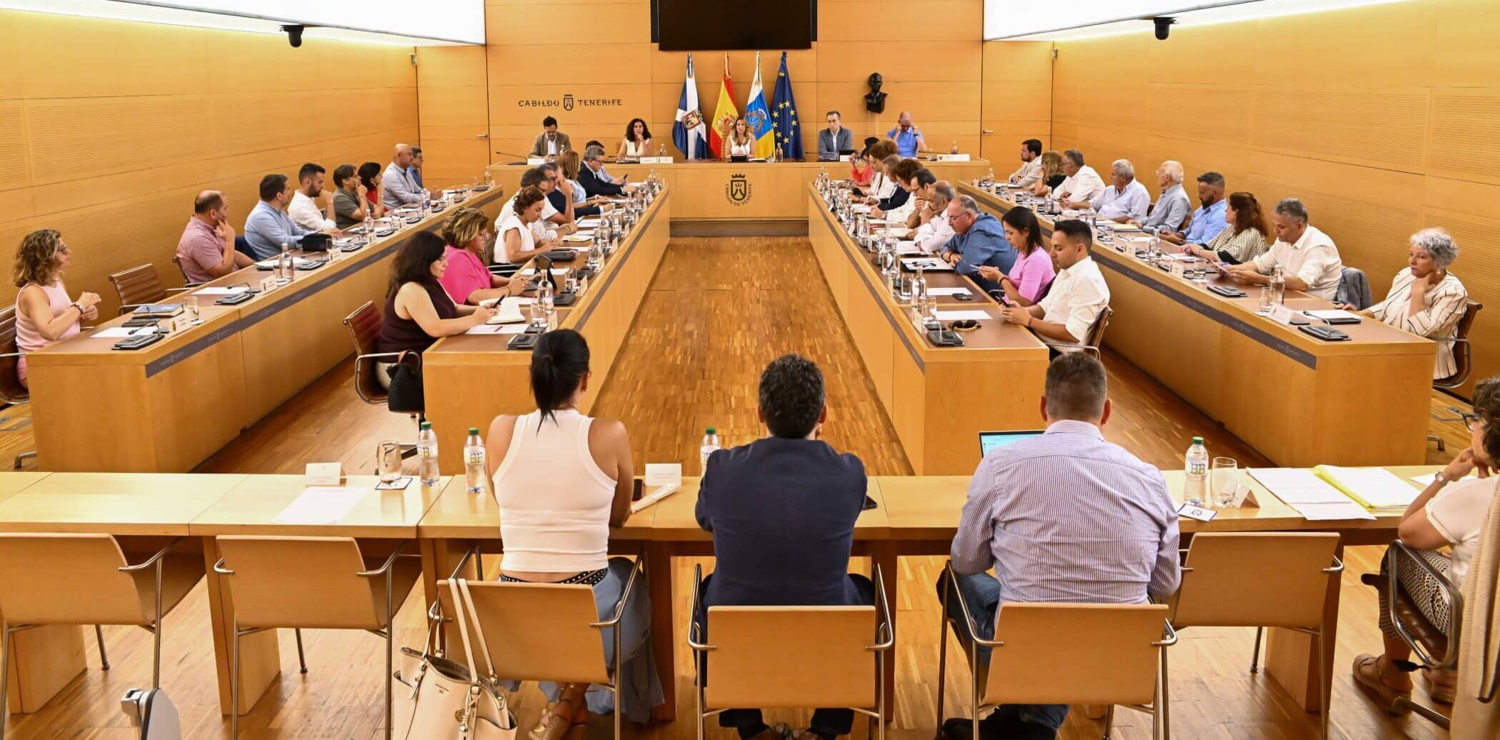 20250721_Consejo_Insular_Admin_Territorial-16