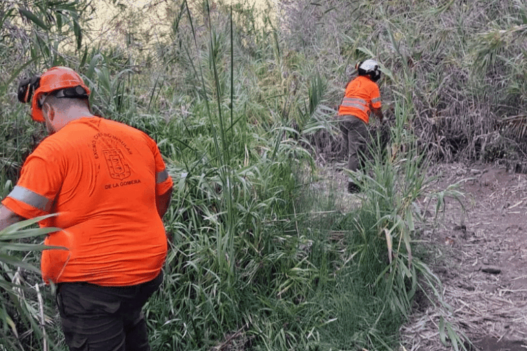 220725 Trabajos de acondicionamiento del sendero El Guro – Salto del Agua, en Valle Gran Rey, La Gomera